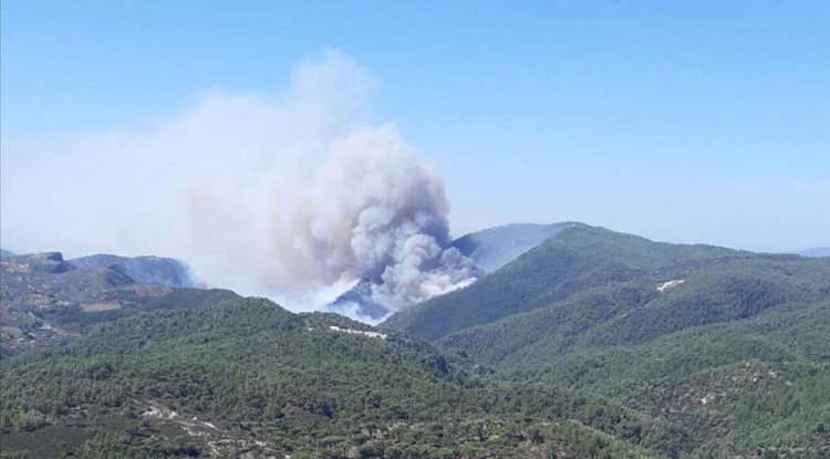 Muğla'da Orman Yangını